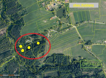 Prodej - pozemek, les, 8 599 m²