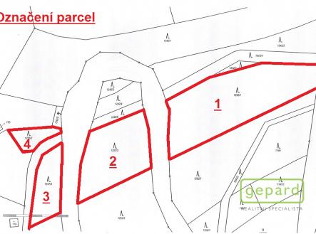Prodej - pozemek, les, 8 599 m²