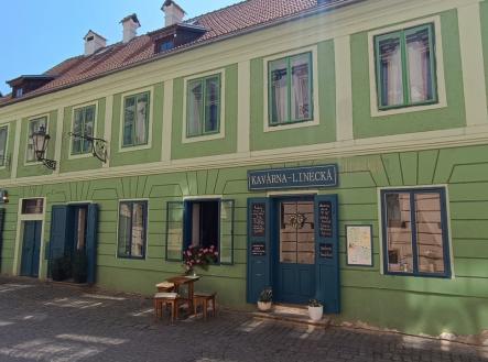 Prodej domu/vily, 524 m²