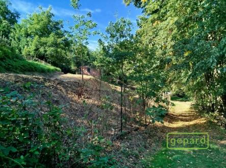 Prodej pozemku, ostatní, 745 m²