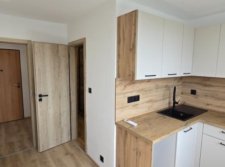 Prodej bytu, 1+1, 46 m²
