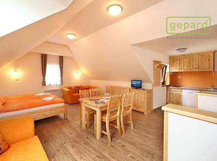 Pronájem bytu, 1+kk, 65 m²