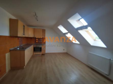Pronájem bytu, 1+kk, 48 m²