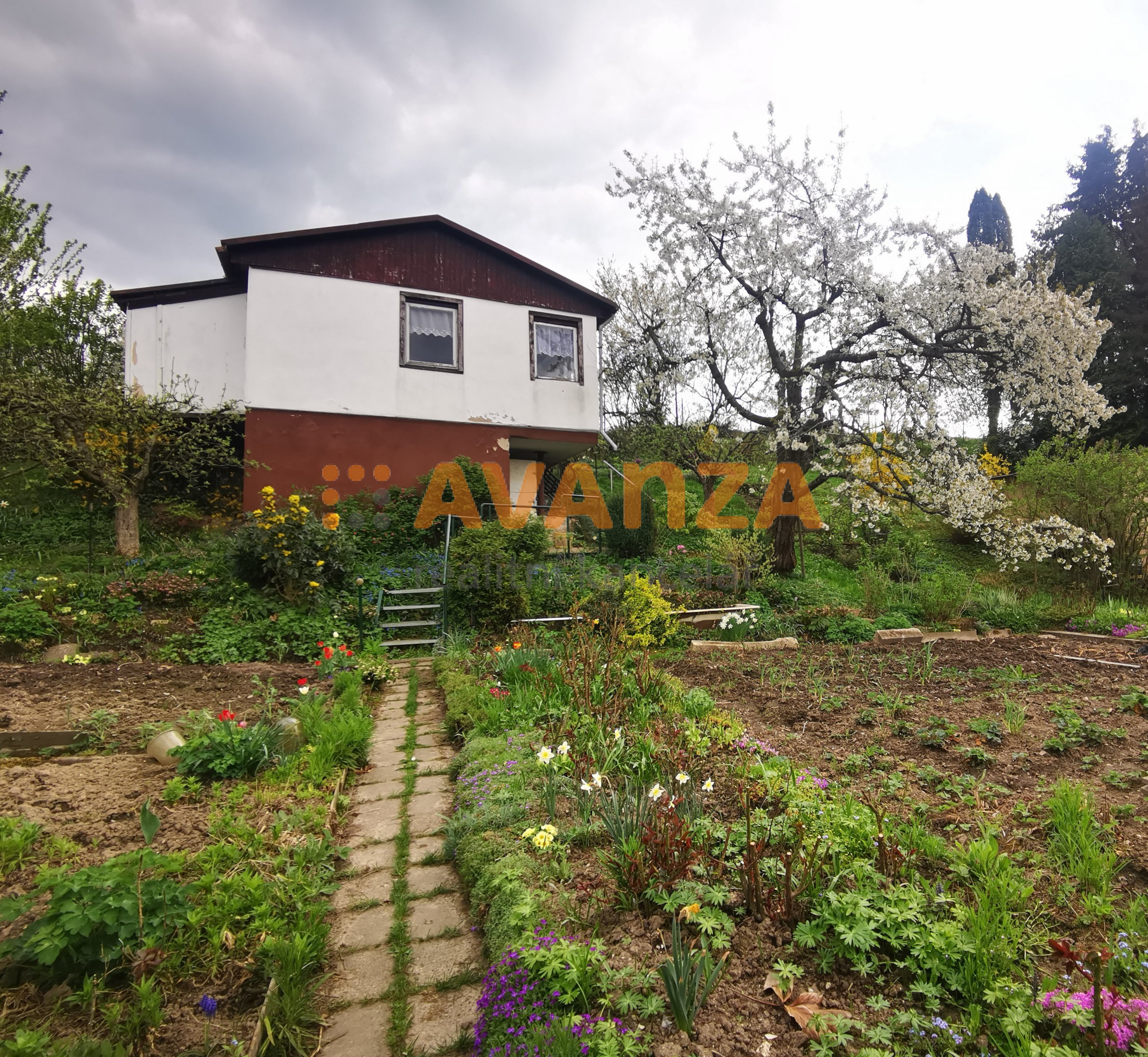 Obrázek k zakázce č.: 703496