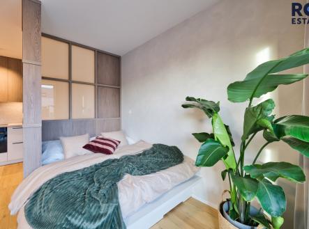 Pronájem bytu, 1+kk, 47 m²