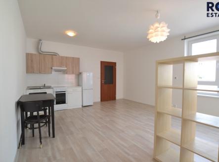 Pronájem bytu, 1+kk, 41 m²
