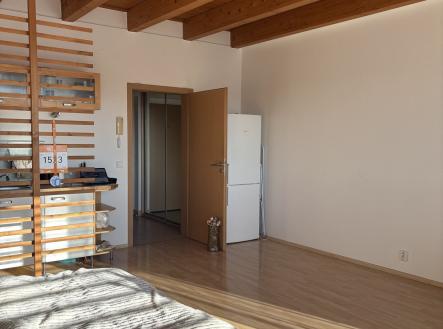 Pronájem bytu, 1+kk, 39 m²