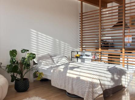 Pronájem bytu, 1+kk, 39 m²