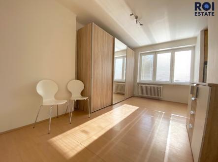 Pronájem bytu, 1+kk, 24 m²