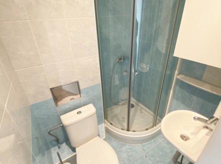 Pronájem bytu, 1+kk, 24 m²