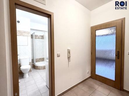 Pronájem bytu, 1+kk, 33 m²