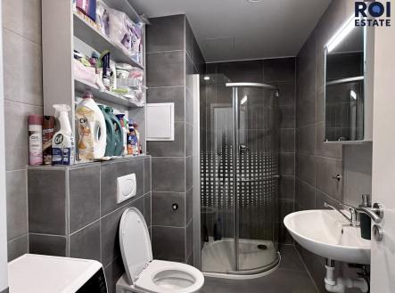 Pronájem bytu, 1+kk, 49 m²