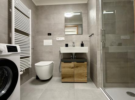 Pronájem bytu, 1+kk, 63 m²