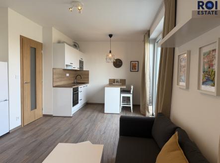 Pronájem bytu, 1+kk, 63 m²