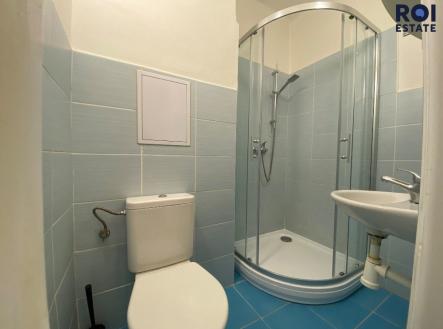 Pronájem bytu, 1+kk, 24 m²