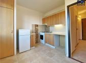 Pronájem bytu, 1+1, 41 m²