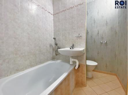 Pronájem bytu, 1+1, 41 m²