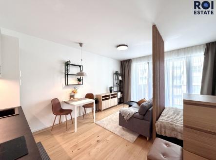 Pronájem bytu, 1+kk, 43 m²