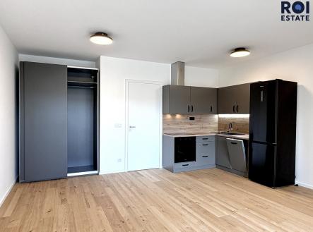 Pronájem bytu, 1+kk, 43 m²