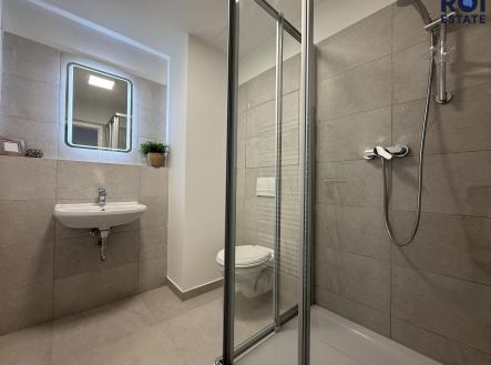Pronájem bytu, 1+kk, 29 m²