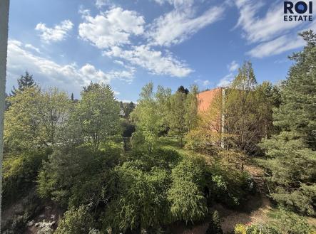 Pronájem bytu, 3+1, 75 m²