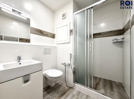 Pronájem bytu, 1+kk, 24 m²