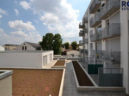 Pronájem bytu, 2+kk, 58 m²