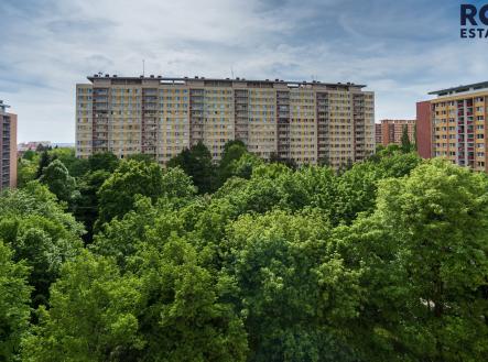 Pronájem bytu, 2+kk, 46 m²