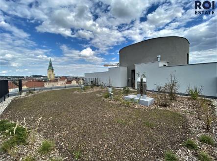 Pronájem bytu, 1+kk, 20 m²