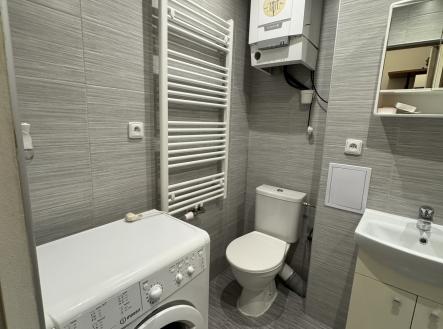 Pronájem bytu, 1+1, 31 m²