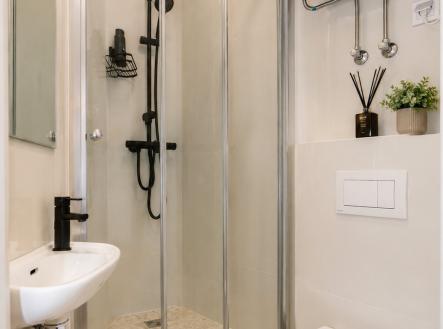Pronájem bytu, 1+kk, 10 m²