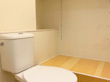 Pronájem bytu, 3+1, 81 m²