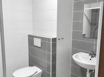Pronájem bytu, 1+kk, 41 m²