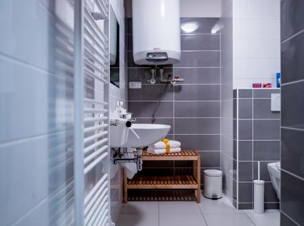 Pronájem bytu, 1+kk, 41 m²
