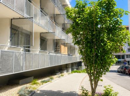 Pronájem bytu, 1+kk, 41 m²