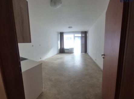 Pronájem bytu, 1+kk, 41 m²