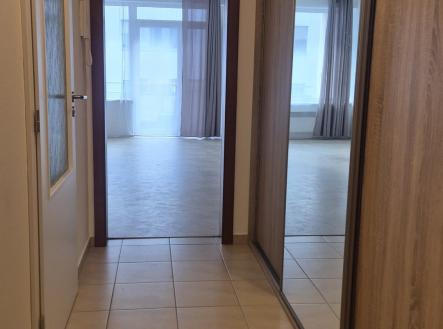 Pronájem bytu, 1+kk, 41 m²