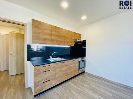 Podnájem zrekonstruovaného bytu, Byty 1+kk, 33  m² - Brno - Židenice
