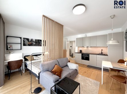 Pronájem bytu, 1+kk, 43 m²