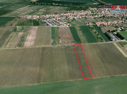 Prodej - pozemek, zemědělská půda, 9 811 m²