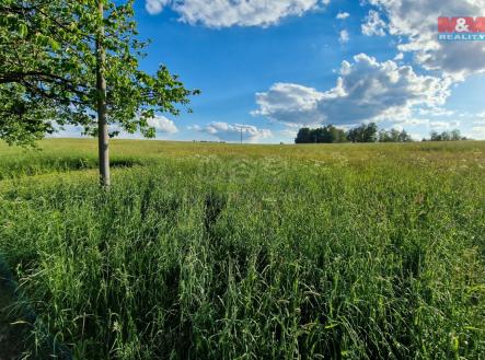 Prodej - pozemek, trvalý travní porost, 1 714 m²