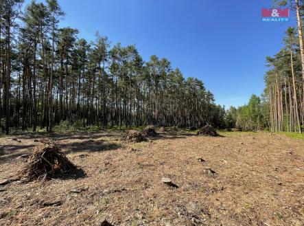 Prodej - pozemek, les, 16 080 m²