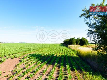 Prodej - pozemek, zemědělská půda, 73 368 m²