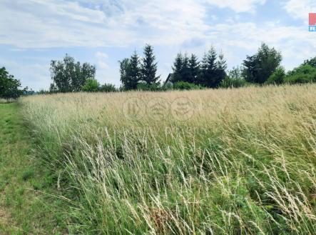 Prodej - pozemek, zemědělská půda, 1 000 m²