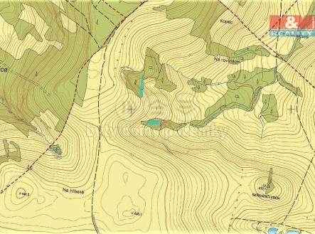 Prodej - pozemek, les, 725 m²