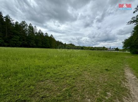 Prodej - pozemek, trvalý travní porost, 11 239 m²