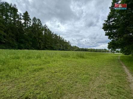 Prodej - pozemek, trvalý travní porost, 19 172 m²