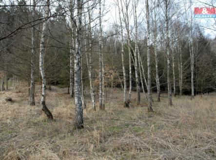 Prodej - pozemek, zemědělská půda, 7 010 m²