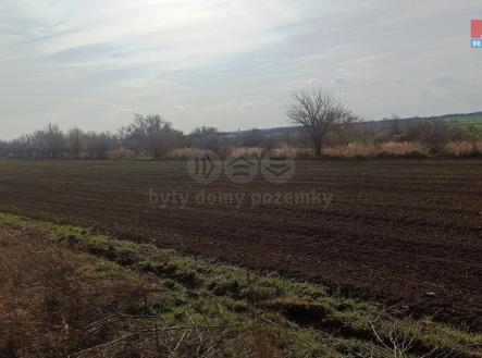 Prodej - pozemek, zemědělská půda, 5 910 m²