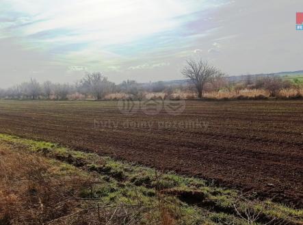 Prodej - pozemek, zemědělská půda, 5 910 m²